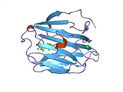 1lho: CRYSTAL STRUCTURE OF THE N-TERMINAL LG-DOMAIN OF SHBG IN COMPLEX WITH 5ALPHA-ANDROSTANE-3BETA,17BETA-DIOL