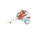 1m17: Epidermal Growth Factor Receptor tyrosine kinase domain with 4-anilinoquinazoline inhibitor erlotinib