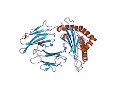 1m6o: Crystal Structure of HLA B*4402 in complex with HLA DPA*0201 peptide