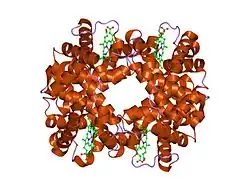 1o1l: Deoxy hemoglobin (A-GLY-C:V1M,L29W,H58Q; B,D:V1M)
