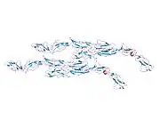 1ojy: DECAY ACCELERATING FACTOR (CD55): THE STRUCTURE OF AN INTACT HUMAN COMPLEMENT REGULATOR.