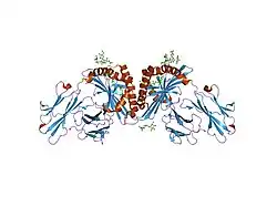 1onq: Crystal Structure of CD1a in Complex with a Sulfatide