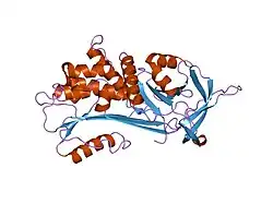1oo8: CRYSTAL STRUCTURE OF A1PI-PITTSBURGH IN THE NATIVE CONFORMATION