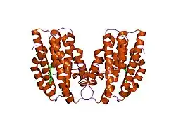 1ozw: Crystal Structures of the Ferric, Ferrous and Ferrous-NO Forms of the Asp140Ala Mutant of Human Heme Oxygenase-1: Catalytic Implications