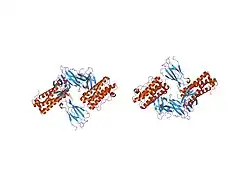 1pgr: 2:2 COMPLEX OF G-CSF WITH ITS RECEPTOR