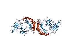 1q94: Structures of HLA-A*1101 in complex with immunodominant nonamer and decamer HIV-1 epitopes clearly reveal the presence of a middle anchor residue