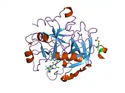 1sl3: crystal structure of Thrombin in complex with a potent P1 heterocycle-Aryl based inhibitor