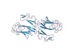 1szb: Crystal structure of the human MBL-associated protein 19 (MAp19)