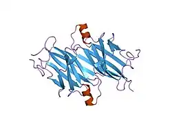1ttc: THE X-RAY CRYSTAL STRUCTURE REFINEMENTS OF NORMAL HUMAN TRANSTHYRETIN AND THE AMYLOIDOGENIC VAL30MET VARIANT TO 1.7 ANGSTROMS RESOLUTION