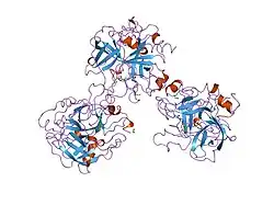 1ucy: THROMBIN COMPLEXED WITH FIBRINOPEPTIDE A ALPHA (RESIDUES 7-19). THREE COMPLEXES, ONE WITH EPSILON-THROMBIN AND TWO WITH ALPHA-THROMBIN