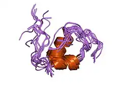 1xgl: HUMAN INSULIN DISULFIDE ISOMER, NMR, 10 STRUCTURES