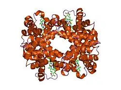 1ye2: T-To-T(High) quaternary transitions in human hemoglobin: betaY35F oxy (2MM IHP, 20% PEG) (1 test set)