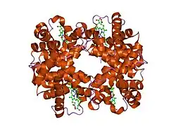 1ygd: T-To-T(High) quaternary transitions in human hemoglobin: betaW37E alpha zinc beta oxy (10 TEST SETS)