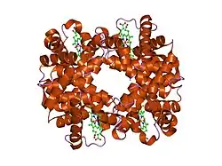 1yhe: T-To-T(High) quaternary transitions in human hemoglobin: HbA OXY (5.0MM IHP, 20% PEG) (10 test sets)