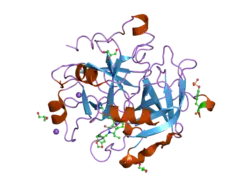 1ype: Thrombin Inhibitor Complex