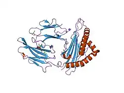2a83: Crystal structure of hla-b*2705 complexed with the glucagon receptor (gr) peptide (residues 412-420)