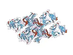 2ak4: Crystal Structure of SB27 TCR in complex with HLA-B*3508-13mer peptide