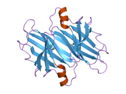 2b16: The crystal structure of 2,4-dinitrophenol in complex with the amyloidogenic variant Transthyretin Tyr78Phe