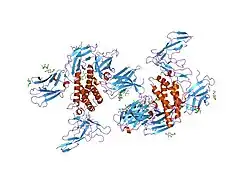 2erj: Crystal structure of the heterotrimeric interleukin-2 receptor in complex with interleukin-2