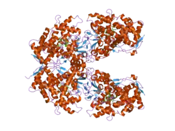 2fdw: Crystal Structure Of Human Microsomal P450 2A6 with the inhibitor (5-(Pyridin-3-yl)furan-2-yl)methanamine bound