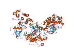 2hz4: Abl kinase domain unligated and in complex with tetrahydrostaurosporine