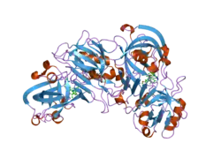 2i4q: Human renin/PF02342674 complex