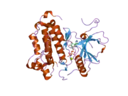 2itn: CRYSTAL STRUCTURE OF EGFR KINASE DOMAIN G719S MUTATION IN COMPLEX WITH AMP-PNP