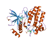 2ivv: CRYSTAL STRUCTURE OF PHOSPHORYLATED RET TYROSINE KINASE DOMAIN COMPLEXED WITH THE INHIBITOR PP1