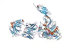 2ny2: HIV-1 gp120 Envelope Glycoprotein (T123C, T257S, S334A, S375W, G431C) Complexed with CD4 and Antibody 17b