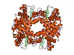 6hbw: Crystal structure of deoxy-human hemoglobin beta6 glu->trp