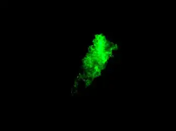 Immunofluorescence