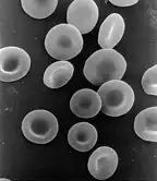 Figure 2 - Schematic of Maxwell model using one dash-pot and one spring connected in series