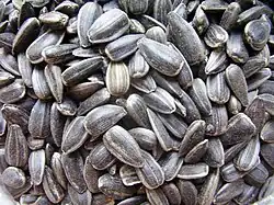 a pile of sunflower seeds