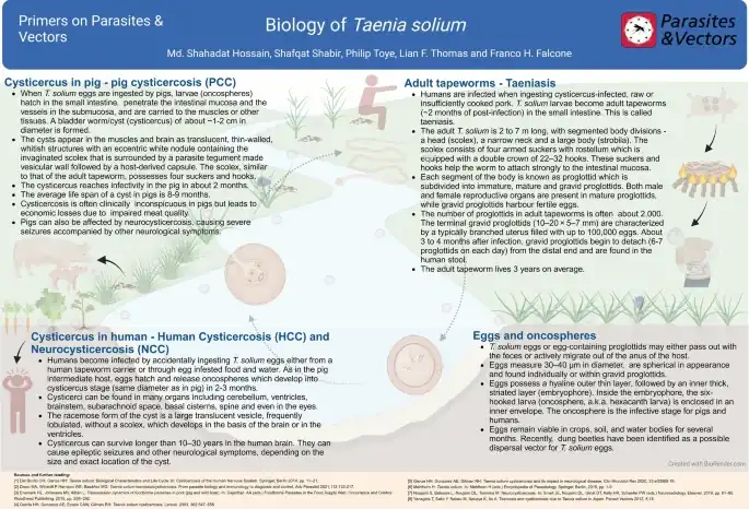 Biological characteristics and life cycle of Taenia solium[17]