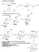 Complete lovastatin synthesis