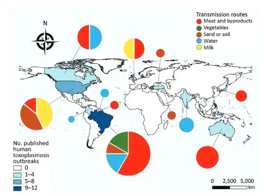 Geographic distribution of outbreaks of human toxoplasmosis worldwide 1967–2018[100].