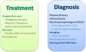 Figure shows treatment and diagnosis of Kuru disease.