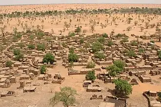 Environmental migration. Sparser rainfall leads to desertification that harms agriculture and can displace populations. Shown: Telly, Mali (2008).