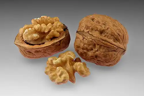 Walnuts: whole shell, shell cracked open, shelled piece