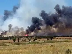 Flat expanse of brown grasses and some green trees with black and some gray smoke and visible flames in the distance.