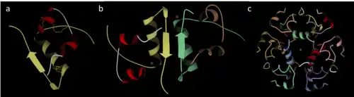 3 models of a chemical made of lines arrows, and coils on a black field