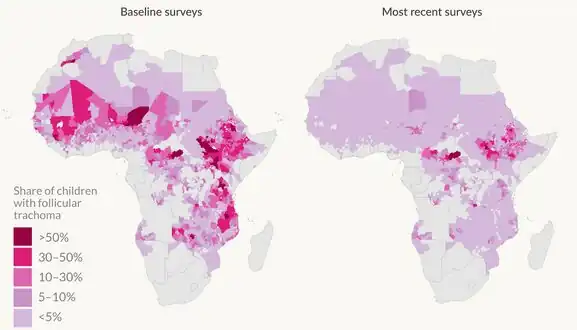 Trachoma decline from 1996 to 2021[43]