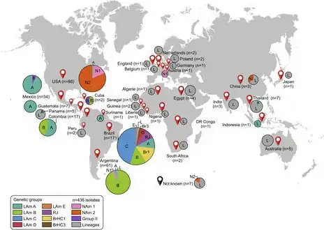 Global distribution patterns of 436 Histoplasma spp. isolates[37]