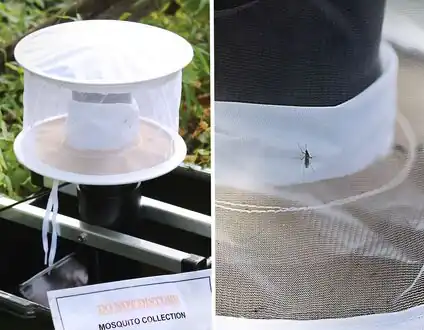 CDC Gravid trap for mosquito surveillance by the local Department of Health[47]