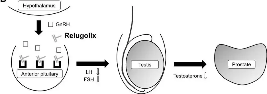 Mechanism of action[16]