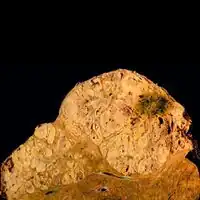 Hepatocellular carcinoma