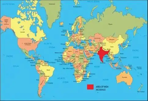 Areas of high incidence(2015)[21]