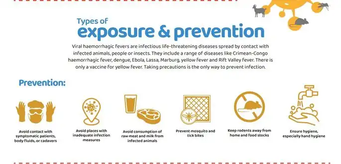 Different ways to prevent VHF[22]