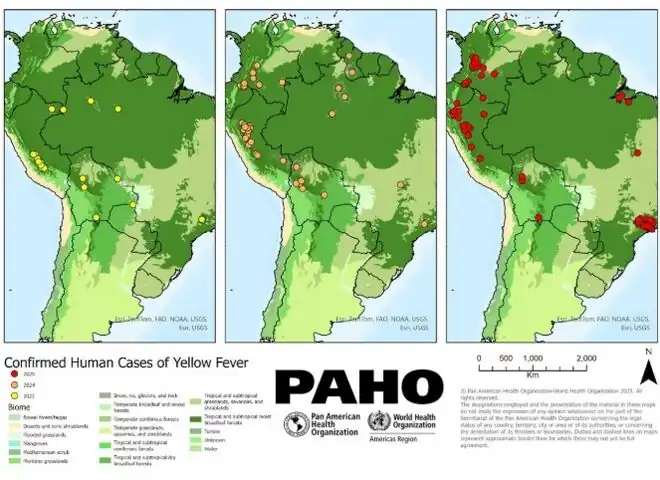 Distribution of human cases of yellow fever as of 26 April 2025[98]