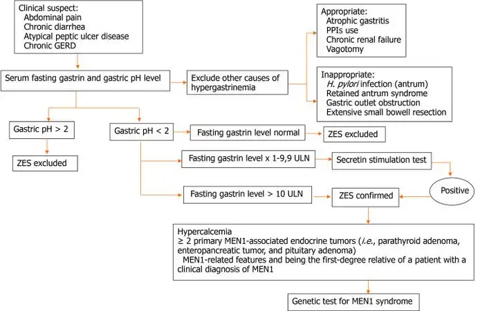 Diagnostic algorithm is depicted[16]